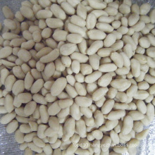 quality Chinese blanched peanut kernels for wholesale